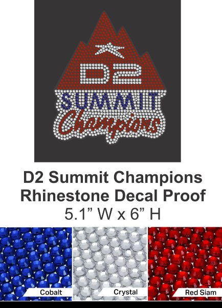 SUMMIT D2 CHAMPIONS CAR DECALS