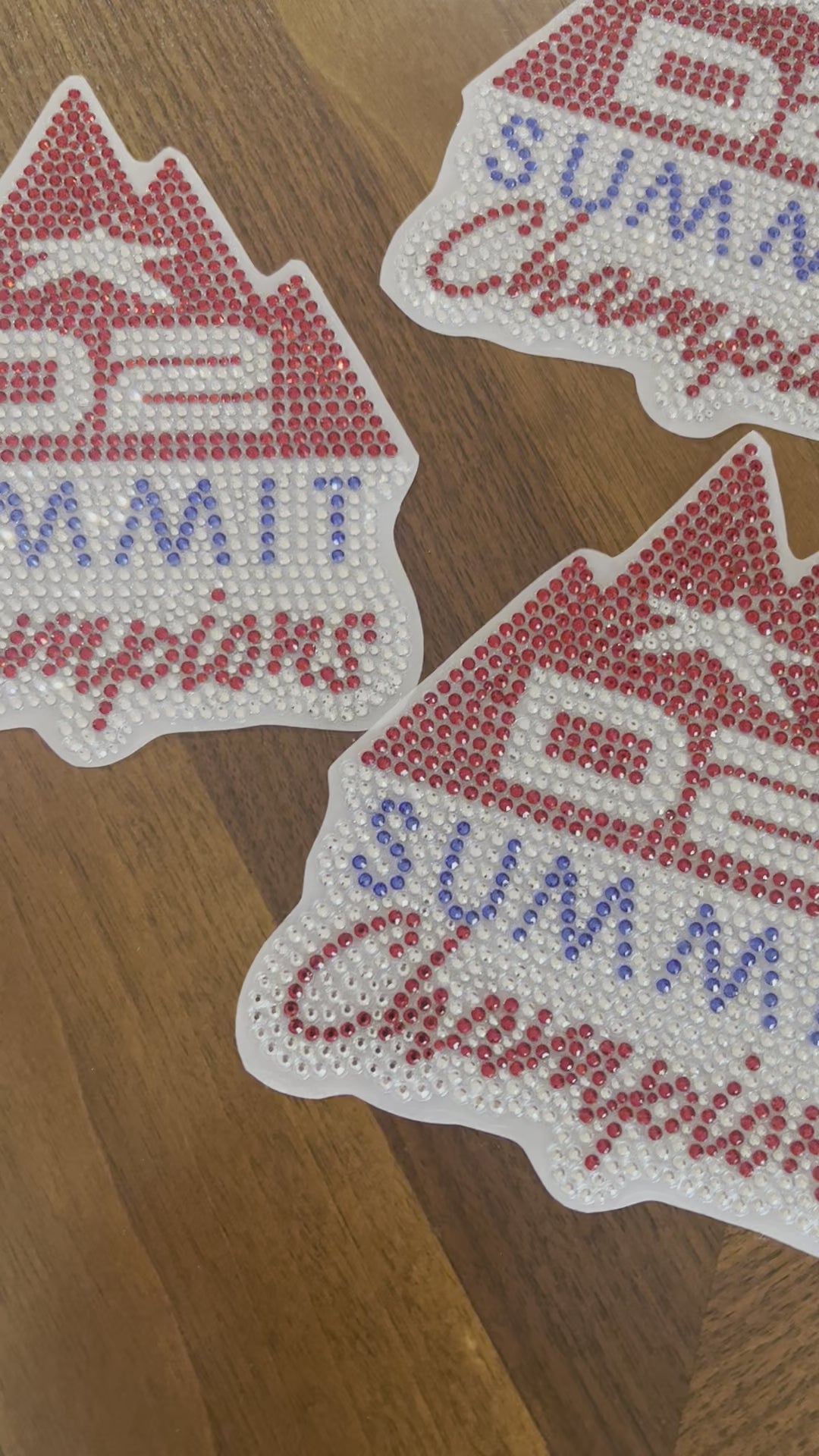 SUMMIT D2 CHAMPIONS CAR DECALS