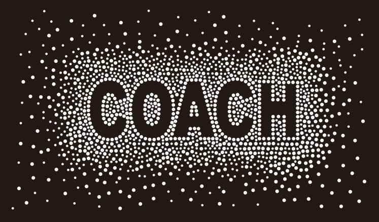 COACH AB RHINESTONES BURST TRANSFER – Sparkling Team Style – Glitzy ...